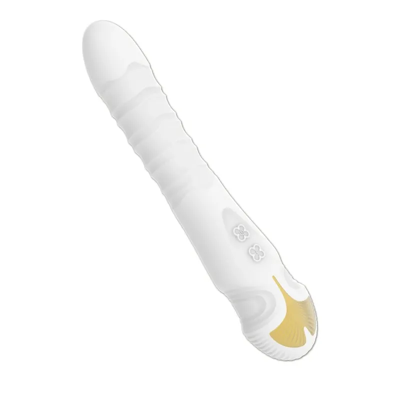 Sexspielzeug-Vibrator, 10 Frequenzen, biegsam, Vaginalstimulator, Paar, interaktiver weiblicher Masturbator, USB-Aufladung