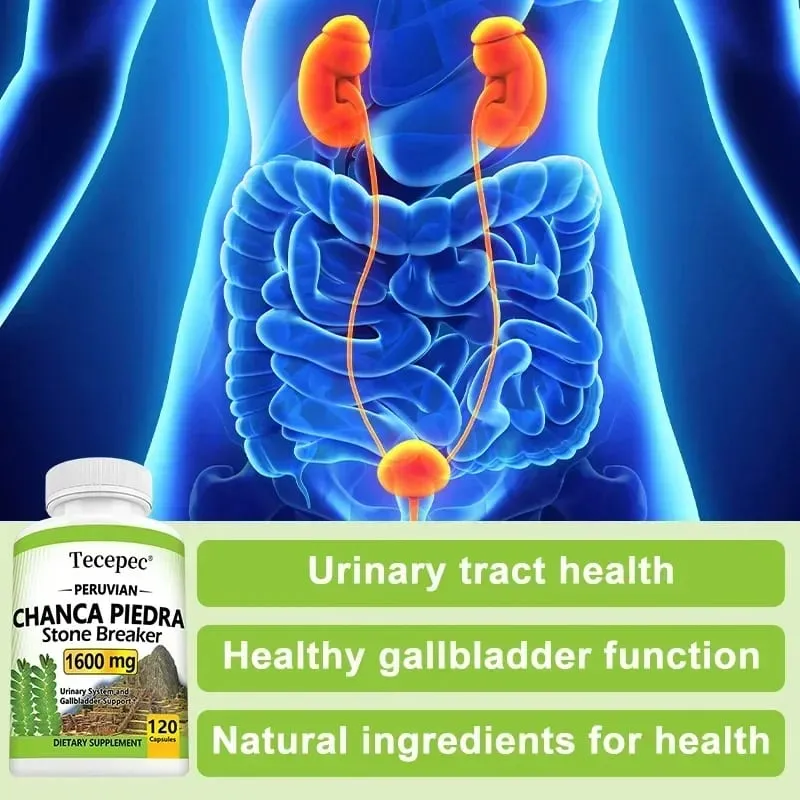 Chanca Piedra 1600 Mg - Kidney Stone Crusher Urinary Tract Support Liver Health Promote Metabolism Non-GMO 120 Capsules — image 4