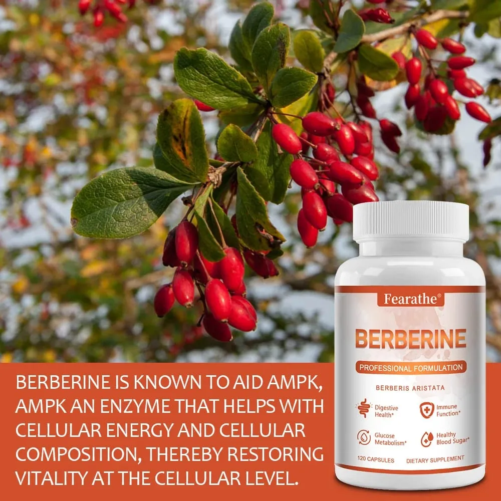 Premium Berberine - Supports Immune System Weight Management Digestive Health and GI Function Supplement 120 Capsules