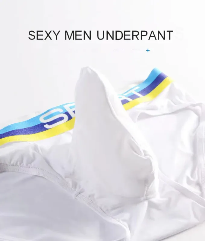 Elephant Nose Sexy Men Underwear U Convex Briefs Pouch Breathable Mesh Sexi Shorts Male Underpants Cueca Gay Penis Silk Summer — image 7