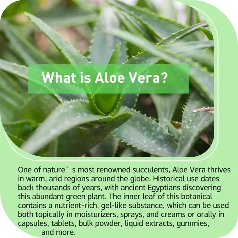 Aloe Vera - Weight management Support Gut Health and Digestive Comfort Stomach Acid Buffer Support Metabolism Natural Immune — image 6