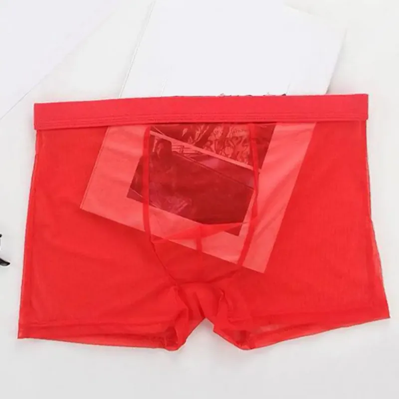 Şeffaf Boksörler Erkekler için Erkek Külot See Through Seksi Örgü Düşük Bel Buz Ipek Ince Soğutma Erkek Külot Erkek iç çamaşırı — image 4