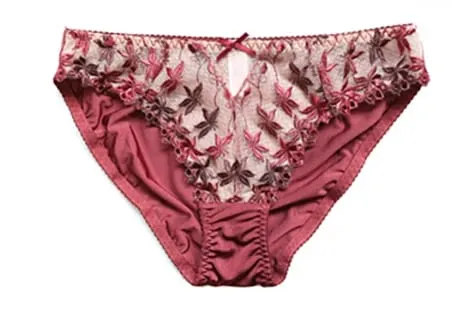 Pure Desire Victoria Thin Bra Set Lace Mesh Red Beautiful Back Sex Underwear Hold Up with Underwire Transparent Bra Woman