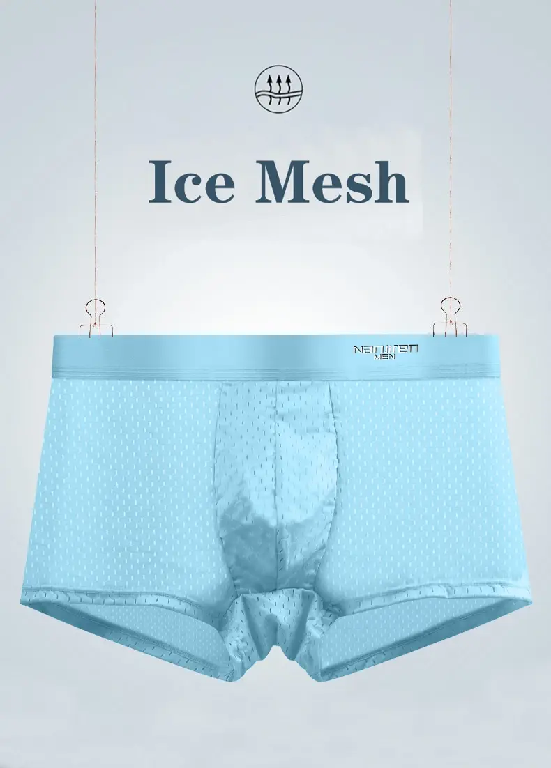 5pcs Men's Boxer Shorts Ice Silk Underwear Plus Size Underpants Cool Breathable Sexy Slim Panties Mesh Lingerie Wholesale Lots 3256809239733736 — image 1