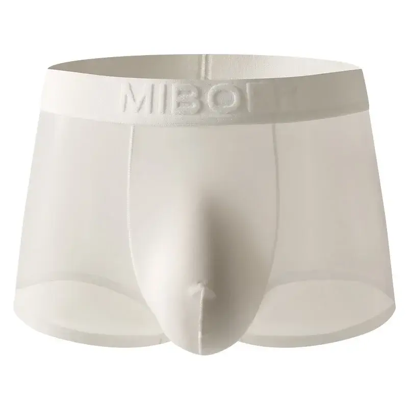 Mens Underwear Breathable Mesh Boxer Shorts Low Waist Boxers Breathable Mesh Classic Panties — image 5