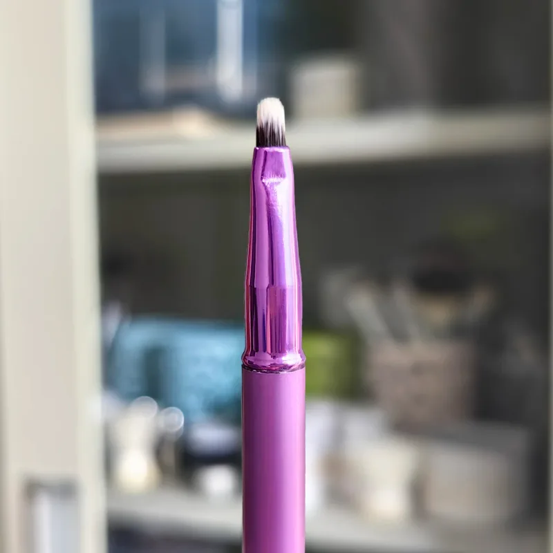 Eyes Makeup Brushes with Cover Eyeshadow Eyeliner Lip Gloss Make Up Brush — image 6