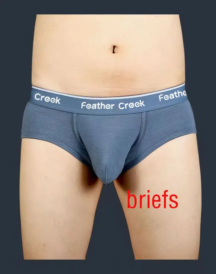 Mens Everyday 대형 파우치 속옷 U 볼록한 벌지 내구성 강화 매끄러운 코튼 브리프 통기성 저층 복서 반바지 적합 — image 4
