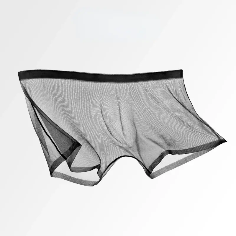 Men's Underwear Transparent Boxers Bulge Ice Silk See Through Underpants Sexy Briefs Low Waist Panties Lingerie Intimates