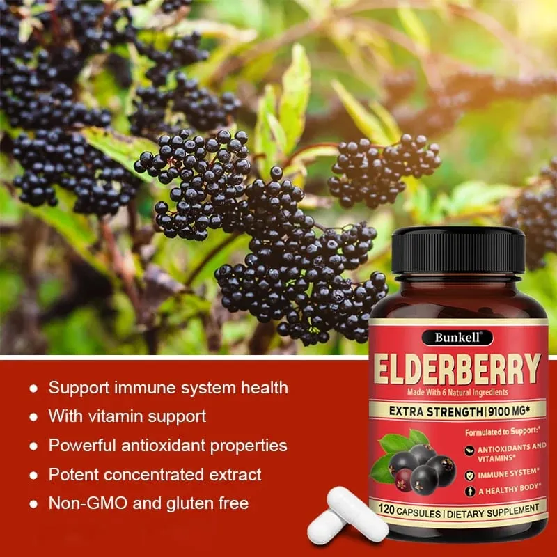 Elderberry Capsules - Rich in Vitamins - Supports Antioxidant Immune System Health Non-GMO Dietary Supplement — image 2