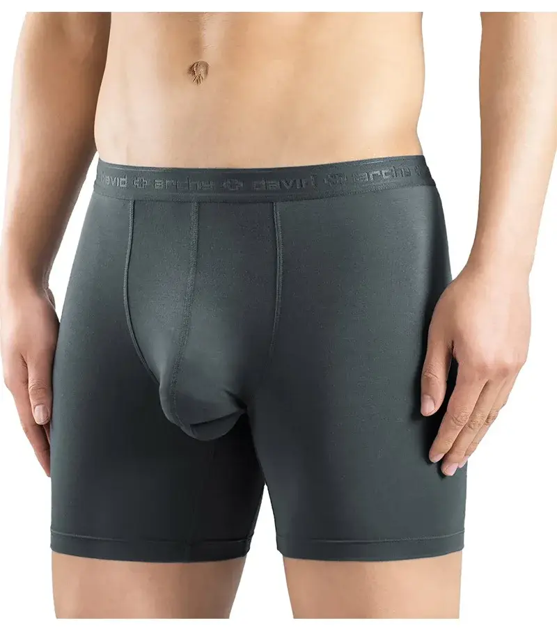 David Archy 3 Pack ملابس داخلية للرجال سراويل داخلية أساسية MicroModal ناعمة قابلة للتنفس للرجال حقيبة مزدوجة ملاكمين سريع الجفاف رياضي لياقة بدنية