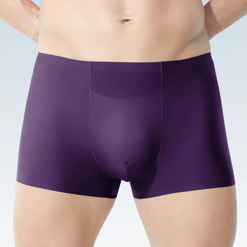 Men's5pc underwear Men's wholesale ice silk seamless boxers antibacterial breathable sports summer thin comfortable boxers — image 1
