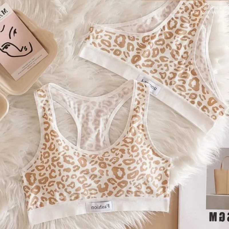 Set Bra Mulus Bra Nirkabel Bentuk Y Macan Tutul Wanita Celana Dalam Pinggang Rendah Pakaian Dalam Seksi Set Pakaian Dalam Wanita Bra Olahraga — image 9
