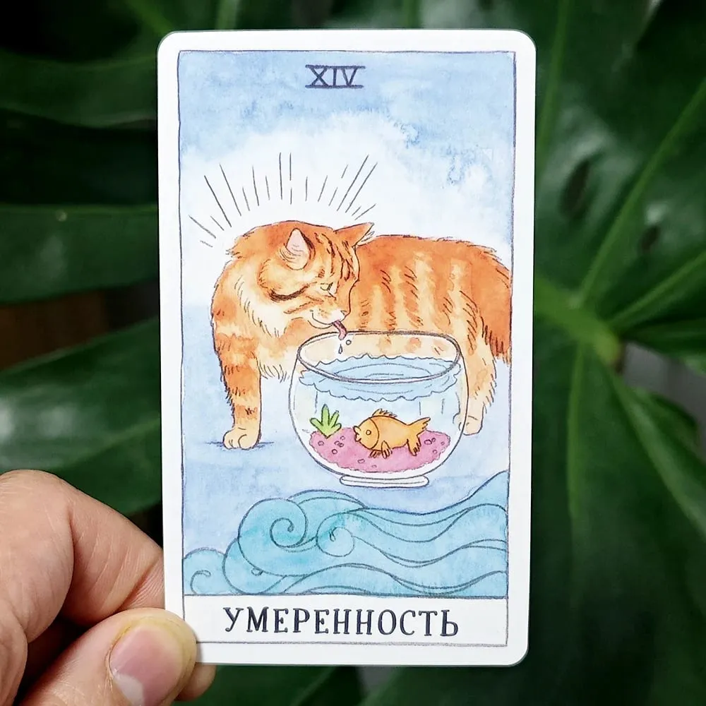 Kot Tarot Język rosyjski 10,3 * 6 cm Połącz autentyczność z kocim poczuciem humoru 78 szt. Kart Tarota z motywem kota