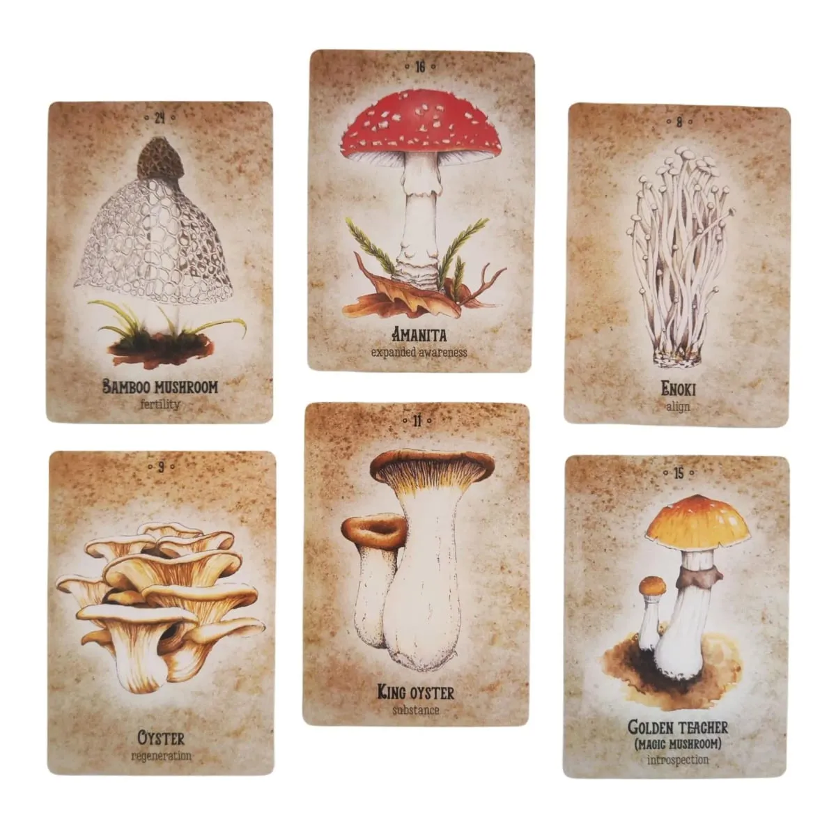Mushroom Spirit Oracle Cards Board Games — image 5