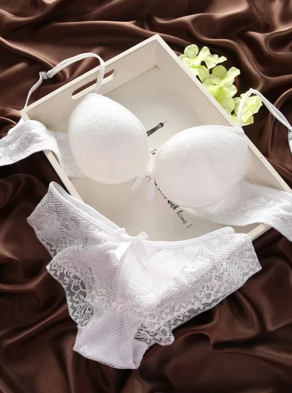 Ny sexig BH Hollow Out Trosor Enfärgade Underkläder Set BC Cup Spets Topp Push Up Dam Ryggstängning Plus Size Underkläder Set