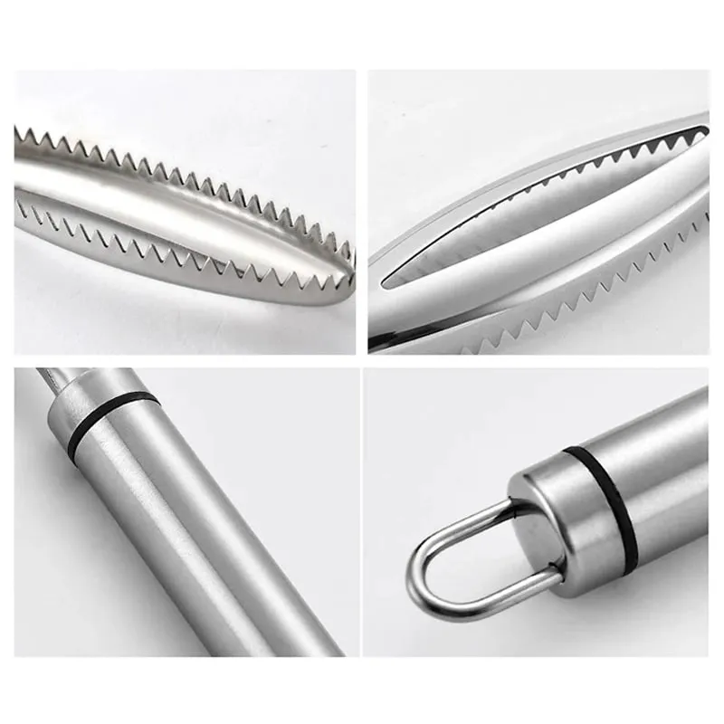 Efficient Fish Scale Remover Stainless Fish Cleaning Tool Fish Scale Remover Fish Skin Brush Scraping Scale Peeler Kitchen tools — image 4