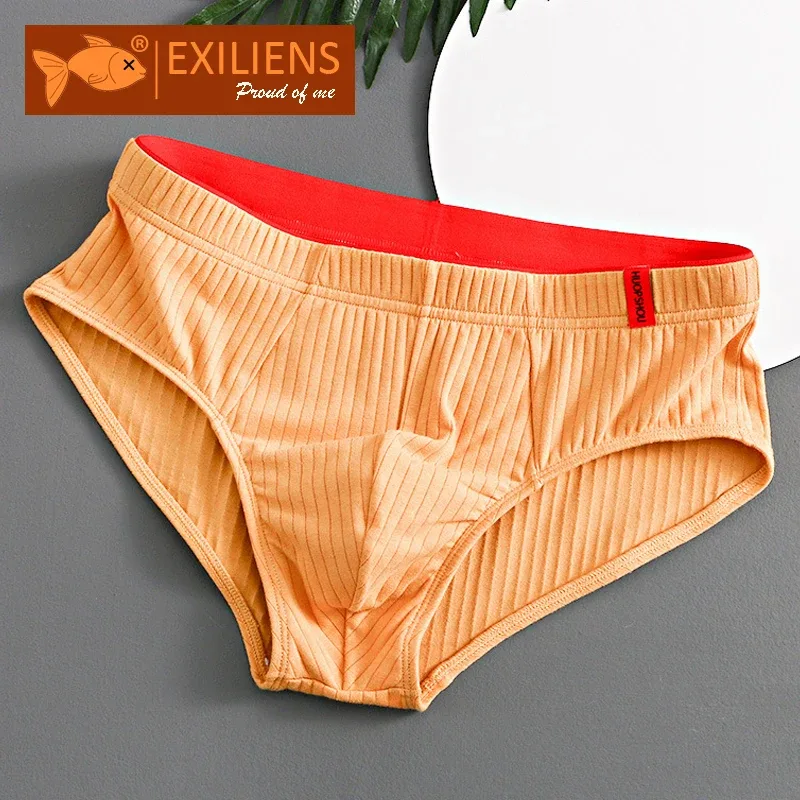 Brand New Cotton Striped Underwear Men Brief Mens Briefs Cueca Masculina Ropa Interior Hombre Calzoncillos M-3XL PC3220 — image 1