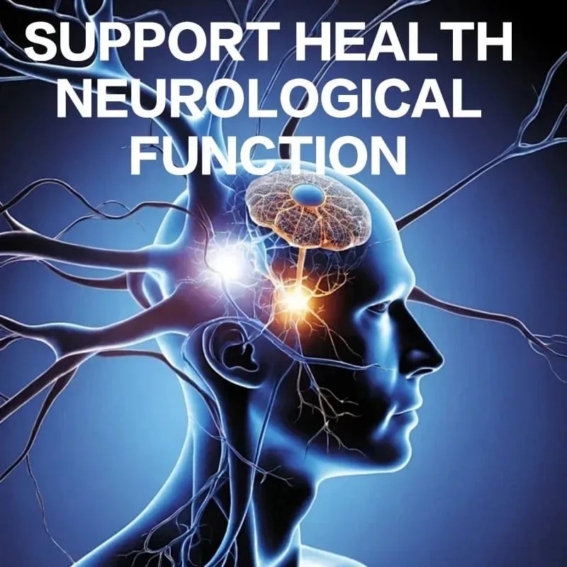 Alpha Lipoic Acid - Supports Neurological Health Relieve Neuralgia Powerful Antioxidant Sugar Metabolism Improves Immunity