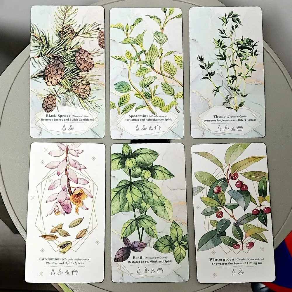 The Essential Oils Healing Deck 52 Cards 11*6cm To Enhance Body Mind & Spirit