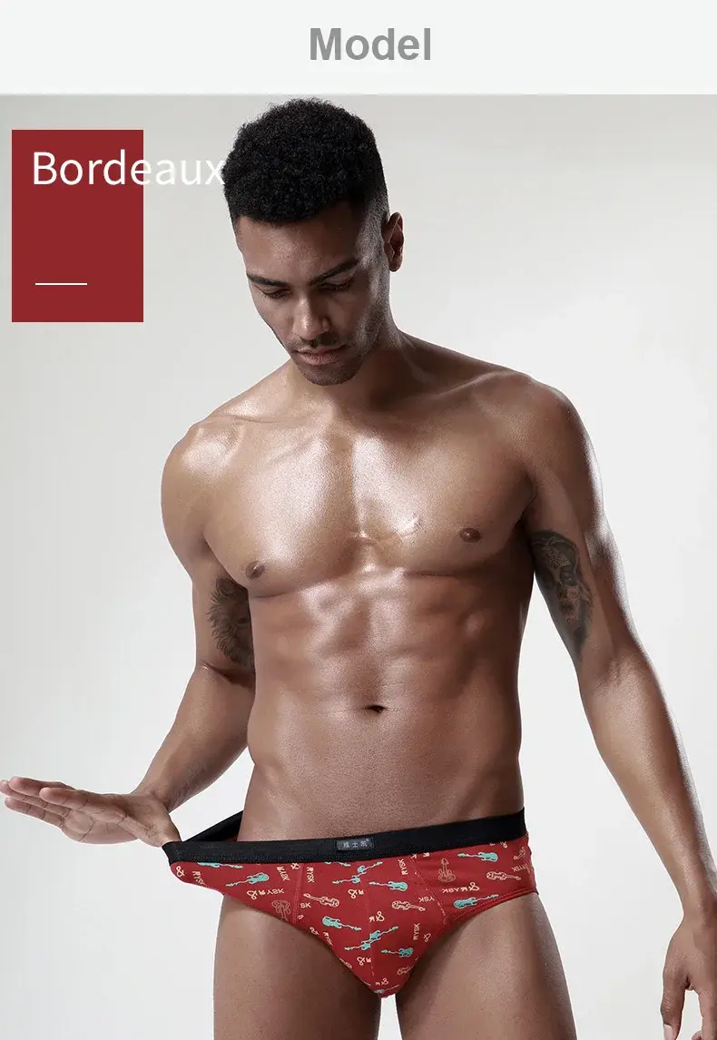 Cotton Man's Underwear Plus Size Briefs Sexy Underpants Breathable Briefs Bikini Gay Print Shorts Cueca Male Panties