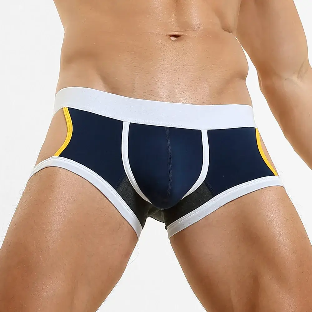 Men's Low-Waist U-Shape Flat Briefs Underwear Trendy Side-Light Design Comfortable Innerwear for Men — image 2