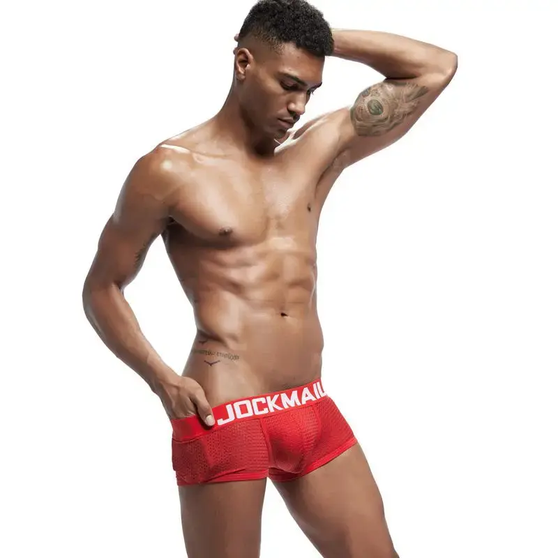 Jockmail Boxers Sexy Mens Panties Mesh Quick-drying Breathable Calzoncillos Solid Color Simple Boxers Hombre Semi-transparent — image 19