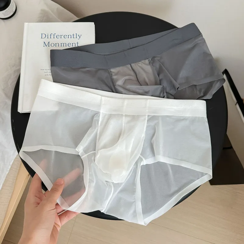 Transparente herren Slips Ultra-dünne Eis Seide Schnell Trocken Höschen Sexy U Ausbuchtung Beutel Mann Unterwäsche Atmungsaktive Unterhose cuecas