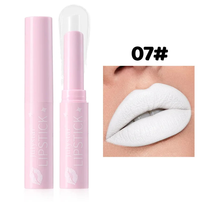 Brown Matte Velvet Lipstick for Makeup 8 Colors Waterproof Matte Contour Tint Lipstick Pen Long Lasting Sexy Pink Red Lip Glaze — image 13