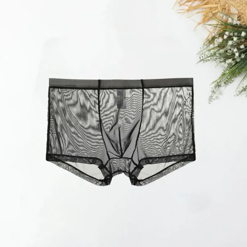 Şeffaf Boksörler Erkekler için Erkek Külot See Through Seksi Örgü Düşük Bel Buz Ipek Ince Soğutma Erkek Külot Erkek iç çamaşırı — image 17