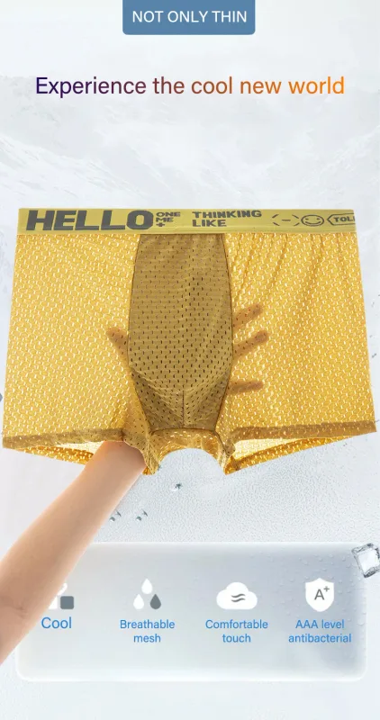 Mens Ice Silk Mesh Underwear Summer Breathable Mesh Cool Boxer Boxer Shorts for Men 45-90KG Anti-bacterial Light Thin Underpants — image 8