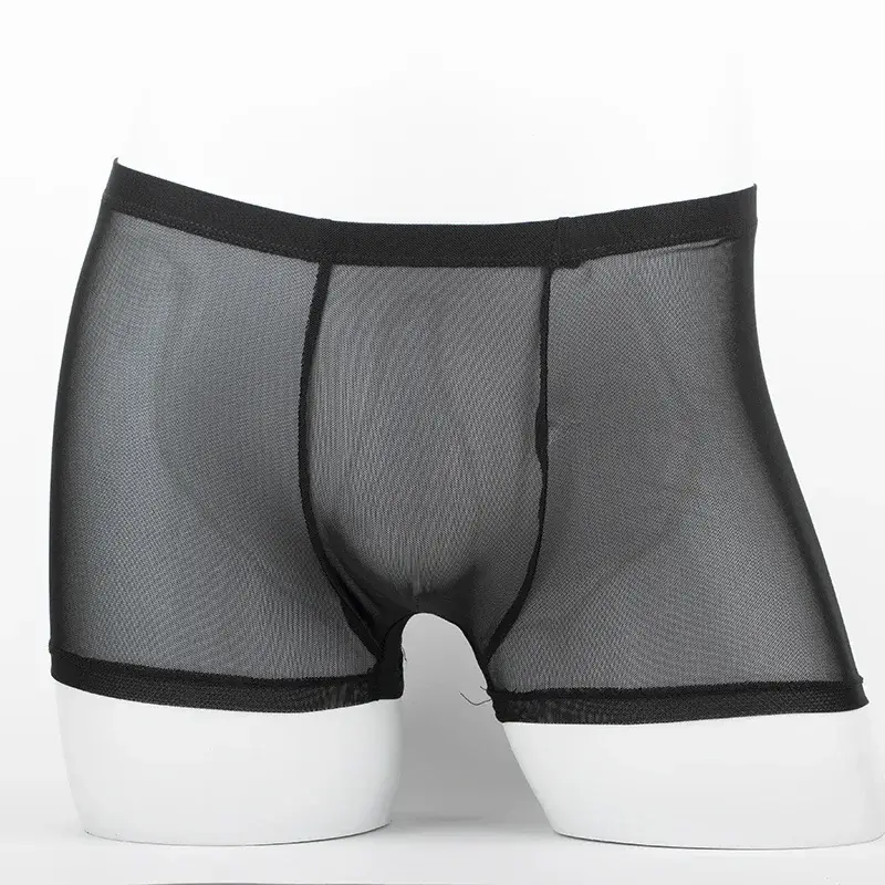 Men's Underwear Transparent Boxers Bulge Ice Silk See Through Underpants Sexy Briefs Low Waist Panties Lingerie Intimates 3256808377911341 — image 2