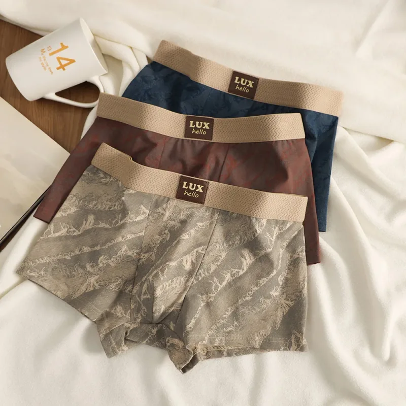 3 stks/pak 100% Katoen Luxe Print Boxers Hombre 3D Mesh Ademend Antibacteriële Pouch Ondergoed Comfortabele Zachte Heren Slipje