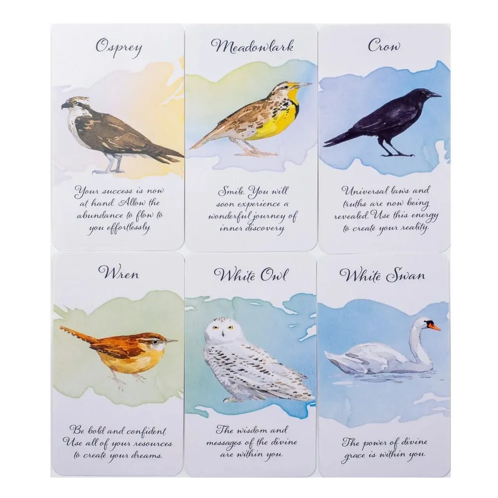 Divine Feather Messenger Tarot Oracle Cards 44 Birds Symbolism & Energies 10.3x6CM Divination Fate Reading and Board Game — image 5