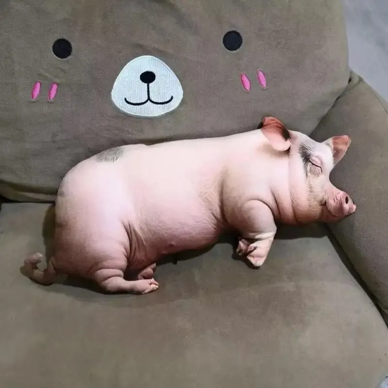 [Ny] Realistisk Sovesvin Plyslegetøj Bomuld Fyldt Naturtro Udskrivning Pig Dukke Hyggelig blød hjemmepynepude Kawaii Home Decor