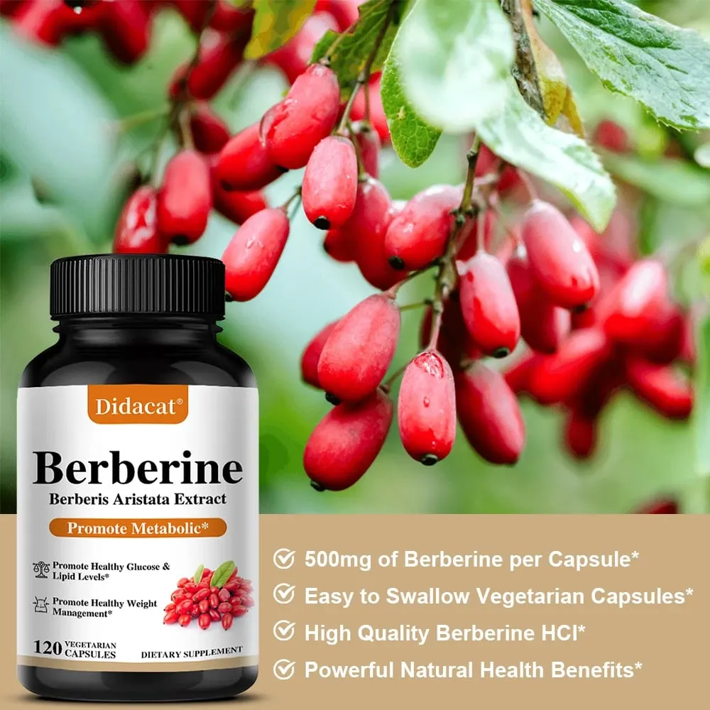 Berberine 500 Mg Dietary Supplement - Metabolism Healthy Weight Management Circulatory Health Blood Lipids Blood Sugar — image 5