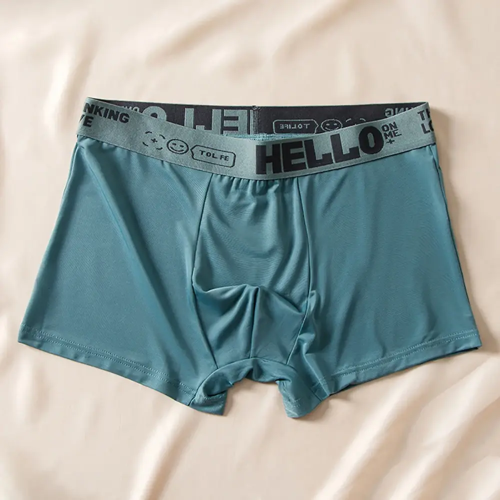 5pcs/set Men Boxer Shorts Ice Silk Men's Underwear Summer Breathable Plus Size Underpants U Convex Lingerie Cool Sexy Panties — image 5