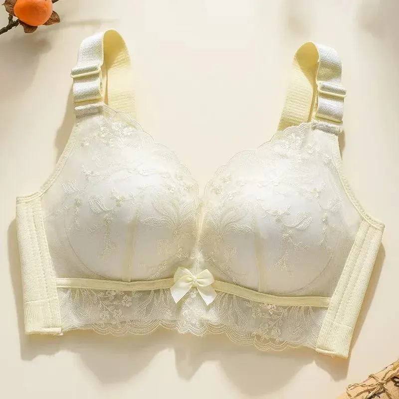 Sexy Lace Bra Push Up Soft Bra Small Breast Gathering Anti-Sagging Lace Women Underwear Adjustable Lingerie — image 8