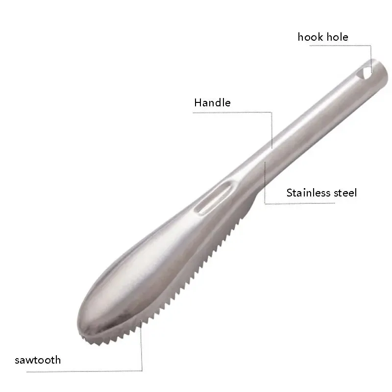 Fish Scaler Remover with Stainless Steel Sawtooth Easily Cleaning Fish Scales Kitchen Cleaner Descale Tool
