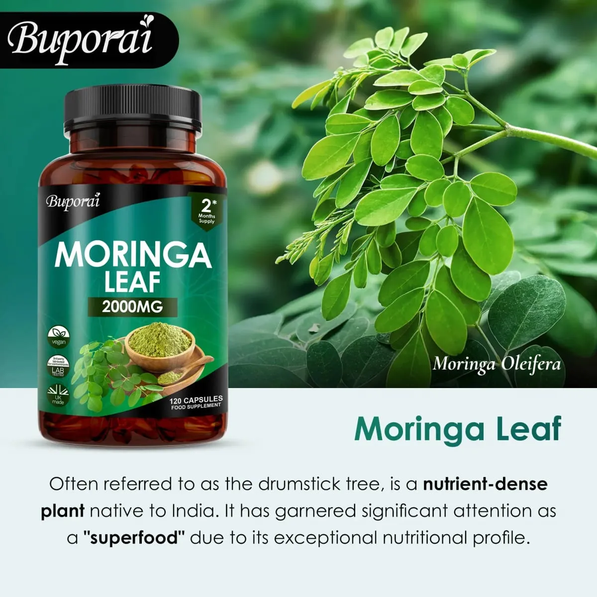 Moringa Leaf Capsules - Supports Digestive and Intestinal Health Antioxidants Nourishes Skin Improves Energy Levels — image 6