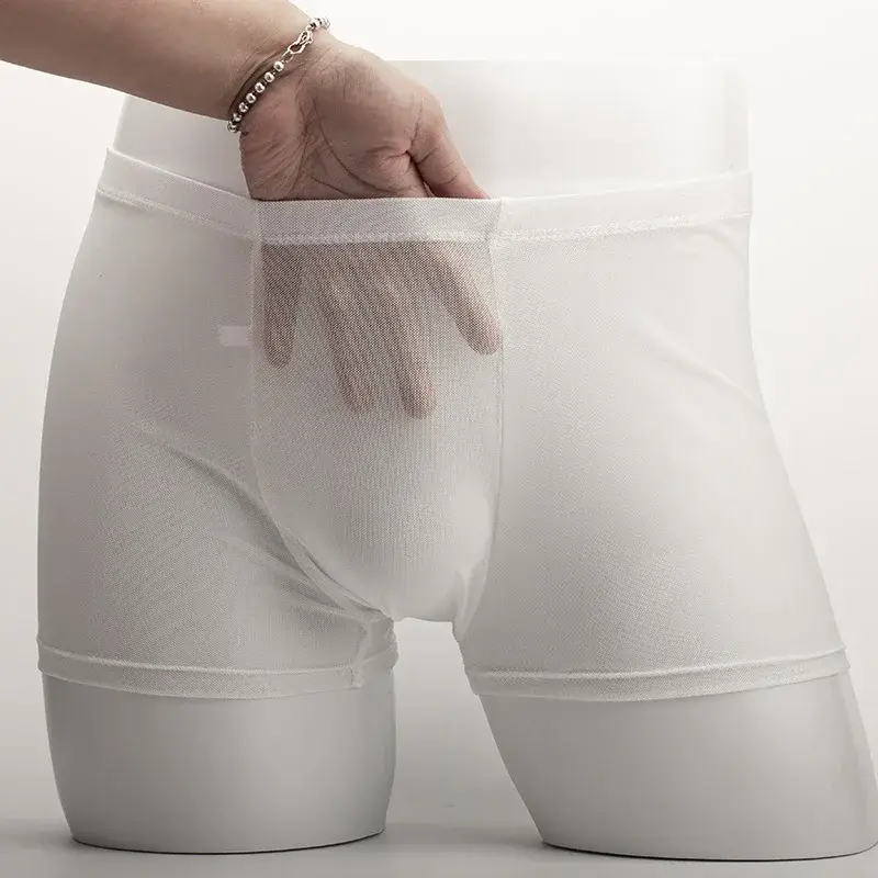 Men's Underwear Transparent Boxers Bulge Ice Silk See Through Underpants Sexy Briefs Low Waist Panties Lingerie Intimates 3256808377911341 — image 6