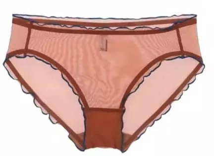 Sexy French Mesh Bra Panty Set Ultra Thin Underwire Push Up Minimizer Lingerie Support Triangle Cup for Large Chest Small Look — image 17
