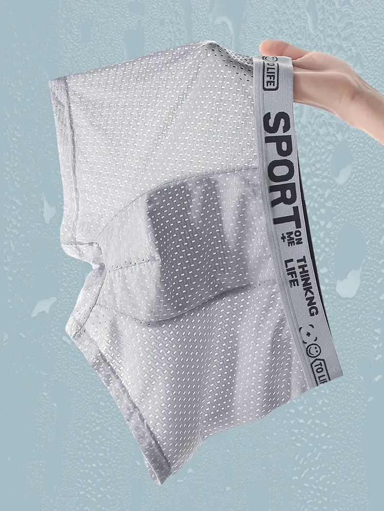 4pcs Summer Mesh Men Boxer Underwear Quick Dry Panties Man Boxer-briefs Breathable XL XXL 3XL 4XL Male Shorts Mens Undershorts — image 1