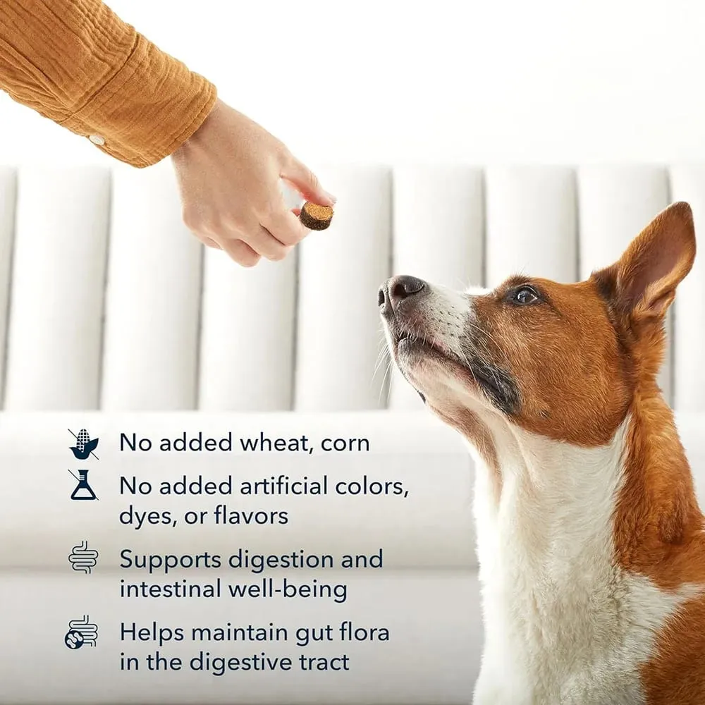 Probiotics Chews for Dogs Support Gut Health Occasional Diarrhea Digestive Health & Seasonal Allergies - 30 Soft Chews — image 6