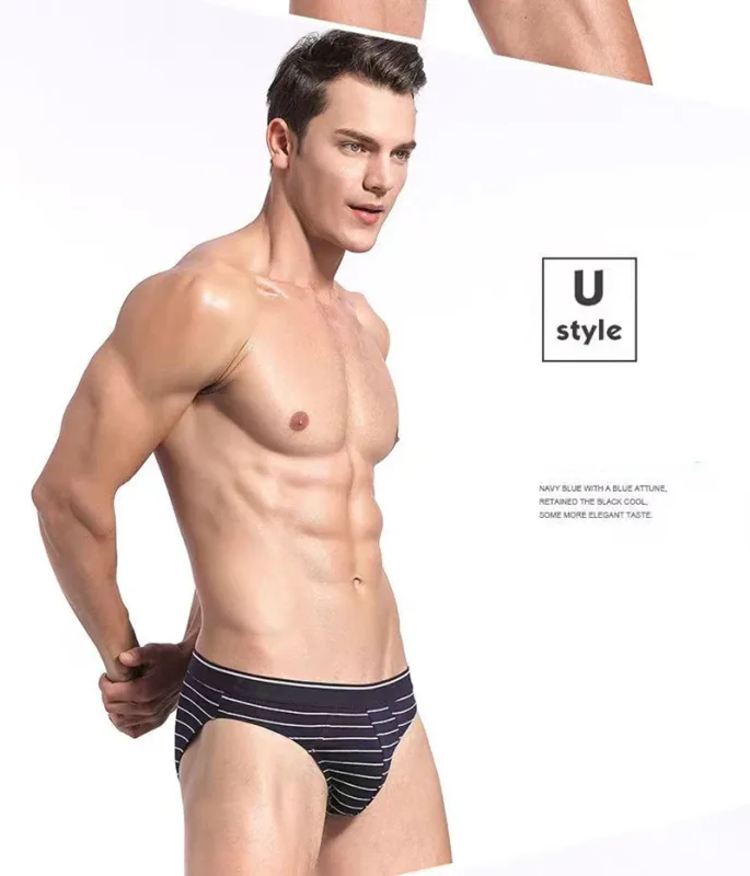 4Pcs/lot Cotton Briefs Men's Sexy Underwear Comfortable Underpants Breathable Panties Solid Shorts Male Lingerie Free Shipping — image 14