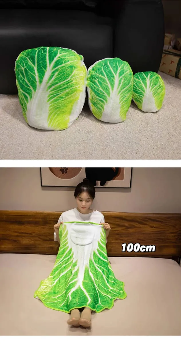 3D Lifelike Plush Chinese Cabbage Watermelon Blanket Simulation Stuffed Poached Egg Throw Pillow with Blanket 2 In 1 Cushion — image 8