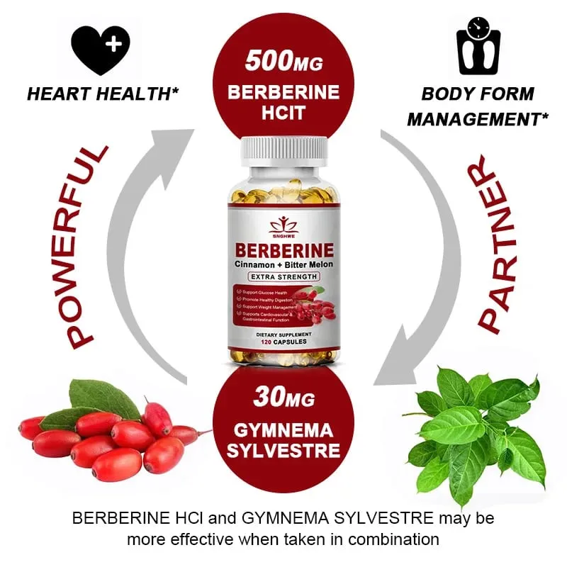 Berberine Supplement High Potency with Ceylon Cinnamon - Immune System Cardiovascular & Gastrointestinal Function - Berberine H — image 5