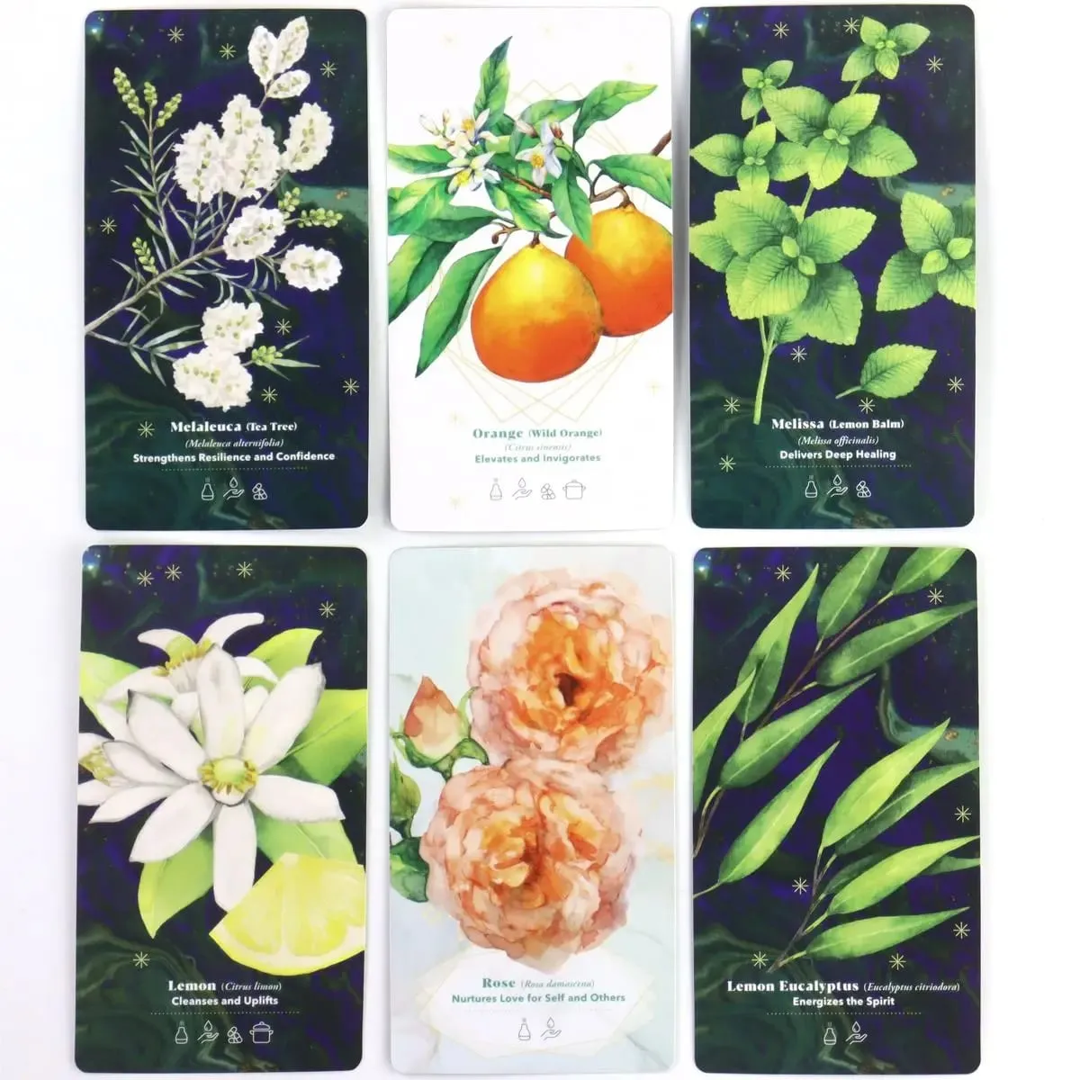 The Essential Oils Healing Deck 52 Cards 11*6cm To Enhance Body Mind & Spirit