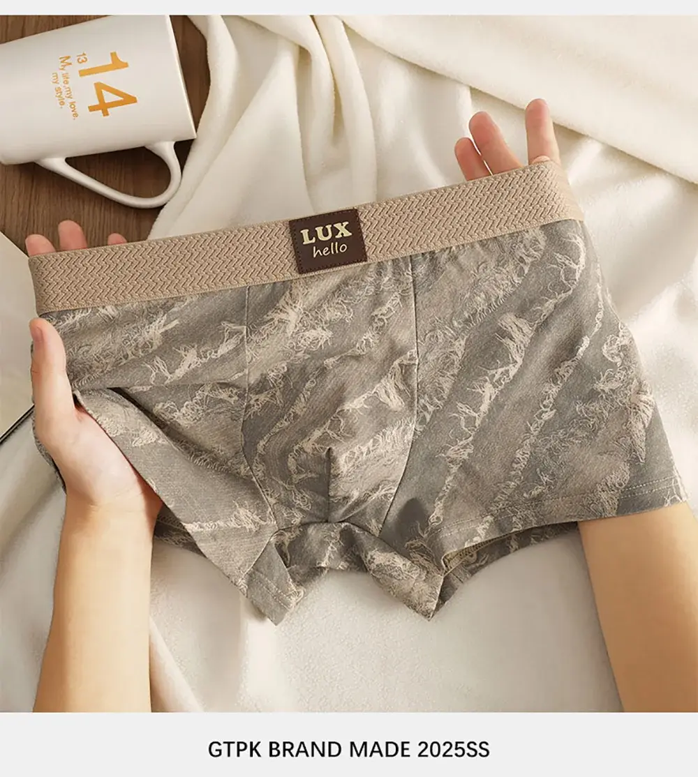 3 stks/pak 100% Katoen Luxe Print Boxers Hombre 3D Mesh Ademend Antibacteriële Pouch Ondergoed Comfortabele Zachte Heren Slipje — image 11