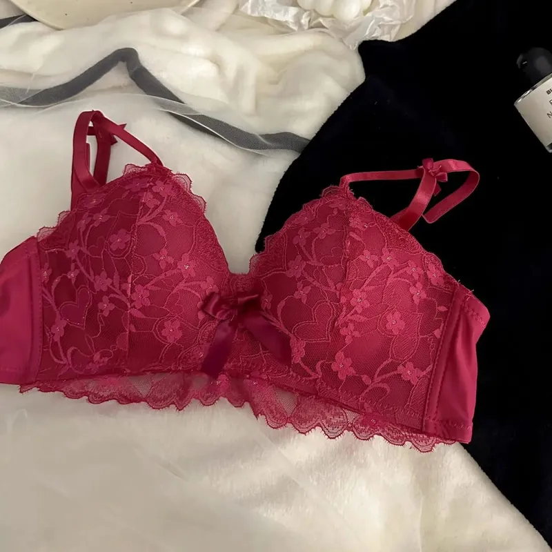 Sexy Embroidered Underwear Small Breasts Gathered Without Steel Ring Top Support Anti-Sagging Breathable Lace Lace Bra Set — image 4