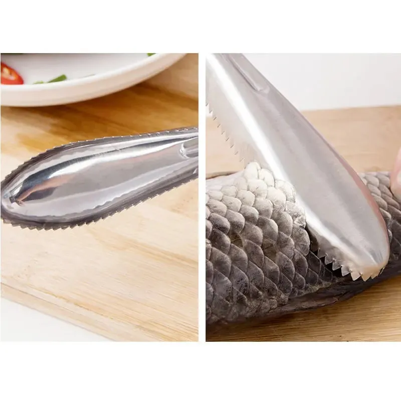 Stainless Steel Fish Scaler Remover - Sturdy Fish Scale Cleaner Descaler Tool- Reliable Fish Scale Cleaning Scraper